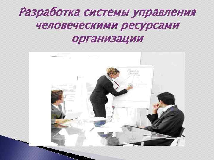 Разработка системы управления человеческими ресурсами организации 