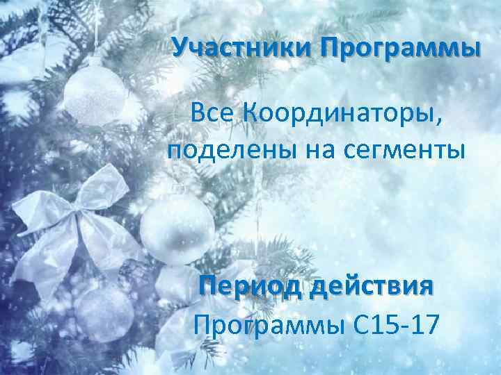 Участники Программы Все Координаторы, поделены на сегменты Период действия Программы С 15 -17 