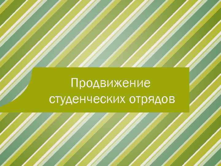 Продвижение студенческих отрядов 