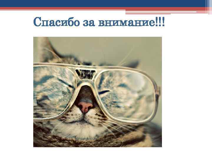 Спасибо за внимание!!! 