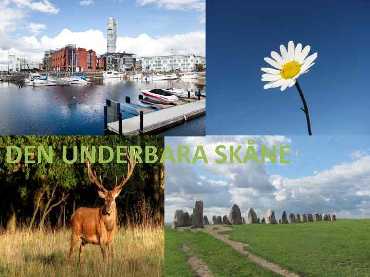 DEN UNDERBARA SKÅNE 
