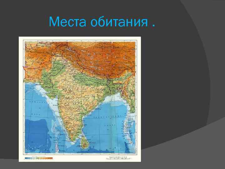 Места обитания. 