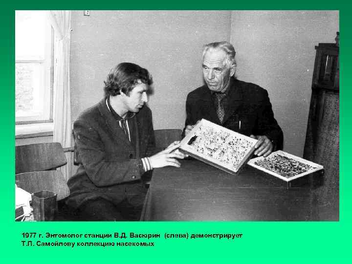 1977 г. Энтомолог станции В. Д. Васюрин (слева) демонстрирует Т. П. Самойлову коллекцию насекомых