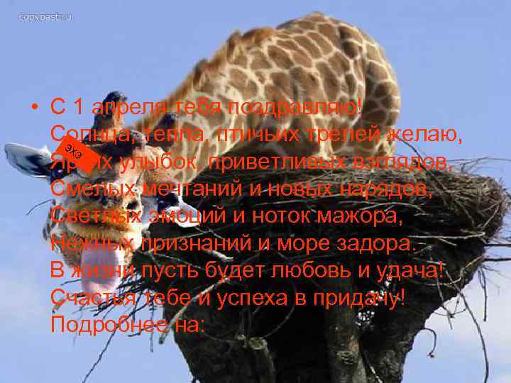  • С 1 апреля тебя поздравляю! Солнца, тепла, птичьих трелей желаю, эх э