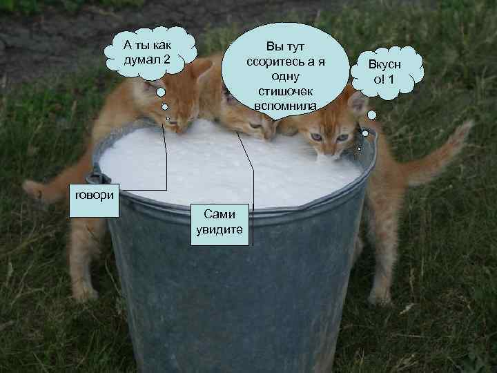 А ты как думал 2 Вы тут ссоритесь а я одну стишочек вспомнила говори