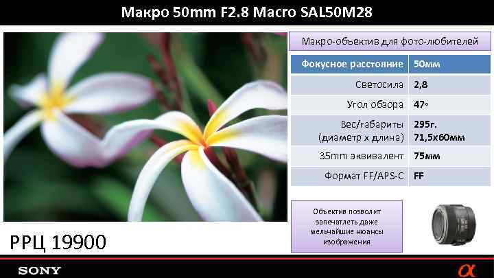 Макро 50 mm F 2. 8 Macro SAL 50 M 28 Макро-объектив для фото-любителей