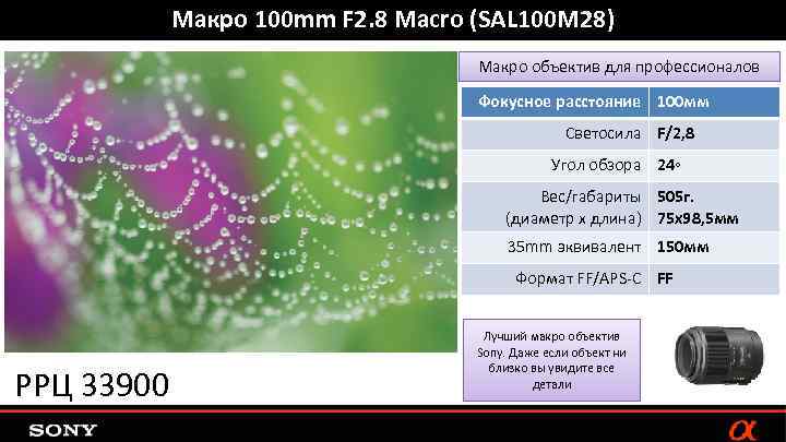 Макро 100 mm F 2. 8 Macro (SAL 100 M 28) Макро объектив для