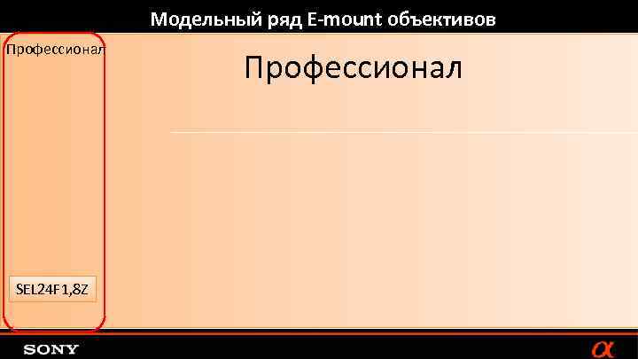 Модельный ряд E-mount объективов Профессионал SEL 24 F 1, 8 Z Профессионал 