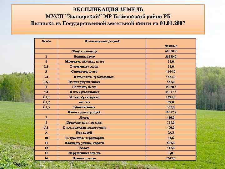 ЭКСПЛИКАЦИЯ ЗЕМЕЛЬ МУСП 