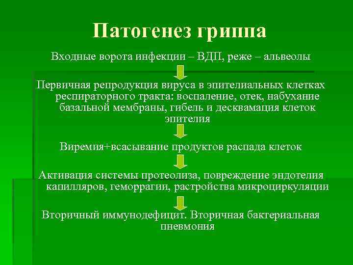 Патогенез гриппа Входные ворота инфекции – ВДП, реже – альвеолы Первичная репродукция вируса в