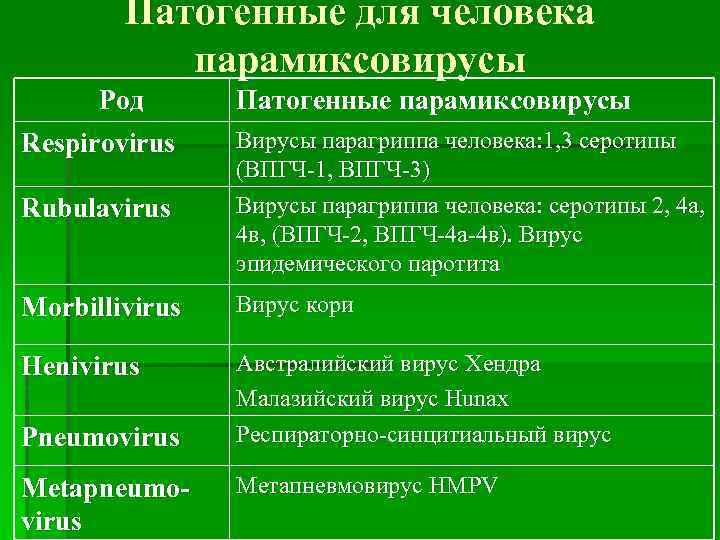 Патогенные для человека парамиксовирусы Род Патогенные парамиксовирусы Rubulavirus Вирусы парагриппа человека: 1, 3 серотипы
