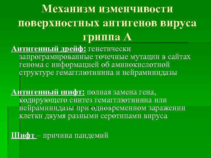 Механизм изменчивости поверхностных антигенов вируса гриппа А Антигенный дрейф: генетически запрограмированные точечные мутации в