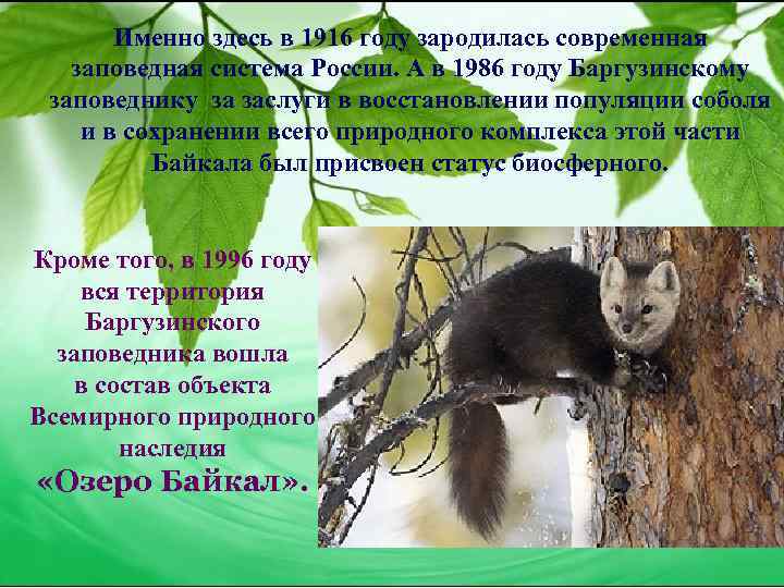 Именно здесь в 1916 году зародилась современная заповедная система России. А в 1986 году