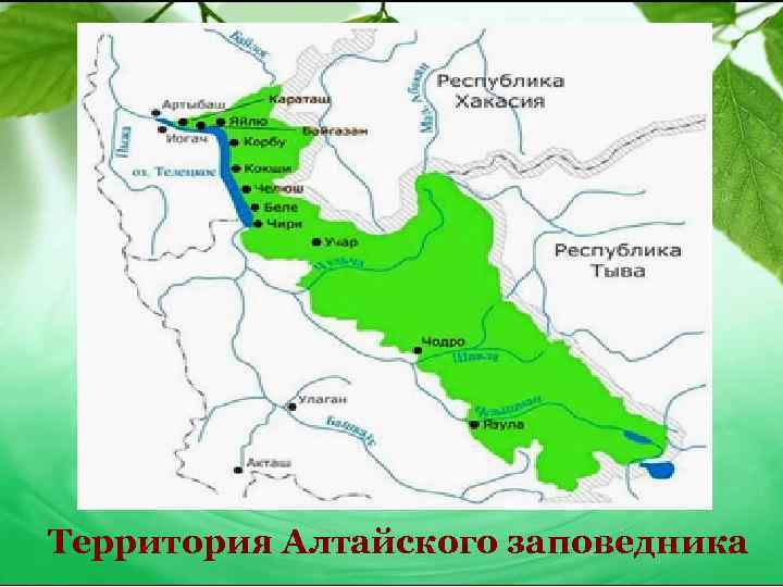 Территория Алтайского заповедника 