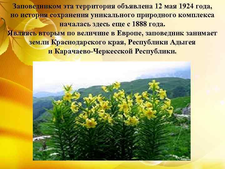 Заповедником эта территория объявлена 12 мая 1924 года, но история сохранения уникального природного комплекса