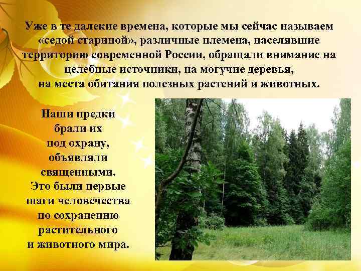 Уже в те далекие времена, которые мы сейчас называем «седой стариной» , различные племена,