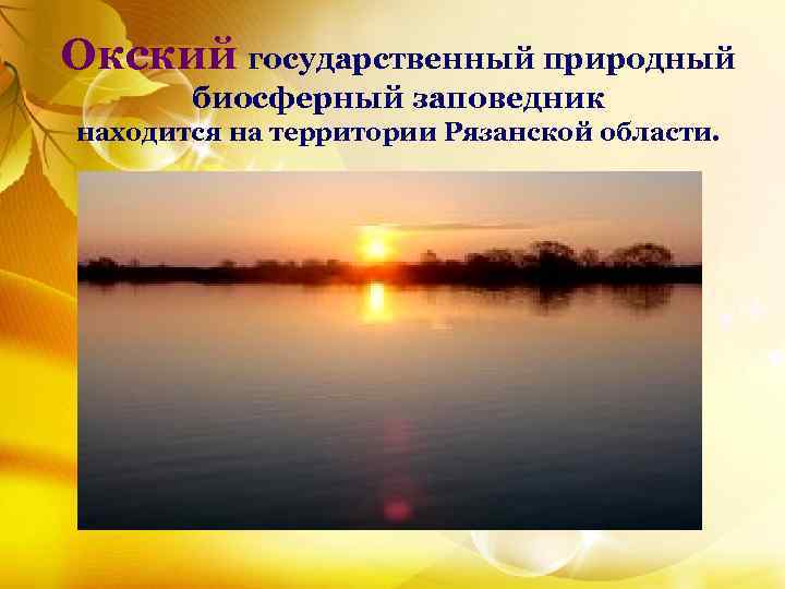 Окский государственный природный биосферный заповедник находится на территории Рязанской области. 