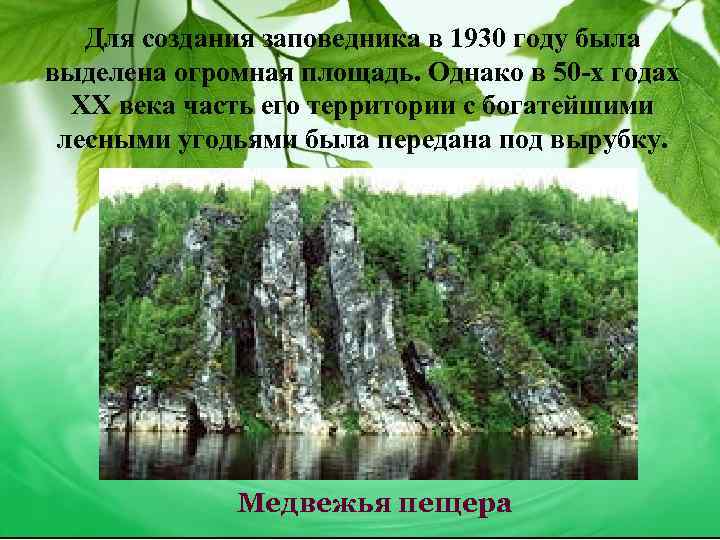 Для создания заповедника в 1930 году была выделена огромная площадь. Однако в 50 -х