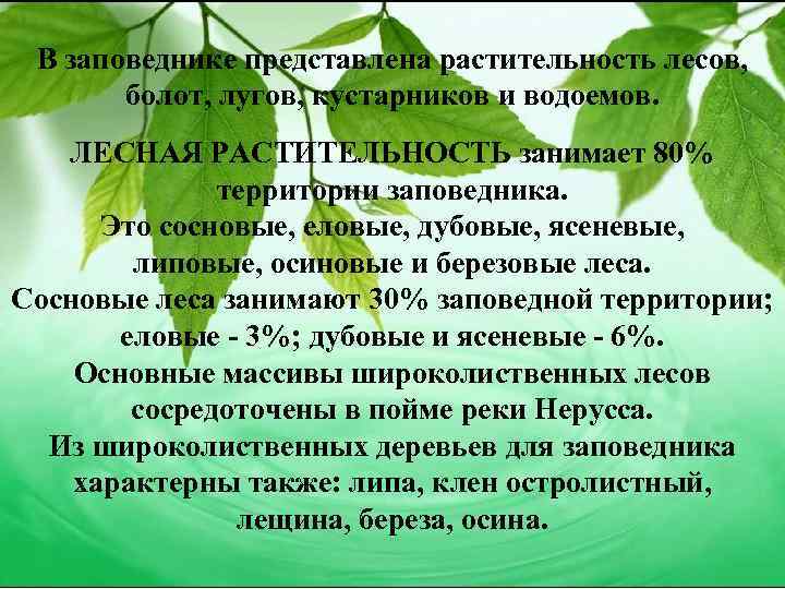 В заповеднике представлена растительность лесов, болот, лугов, кустарников и водоемов. ЛЕСНАЯ РАСТИТЕЛЬНОСТЬ занимает 80%