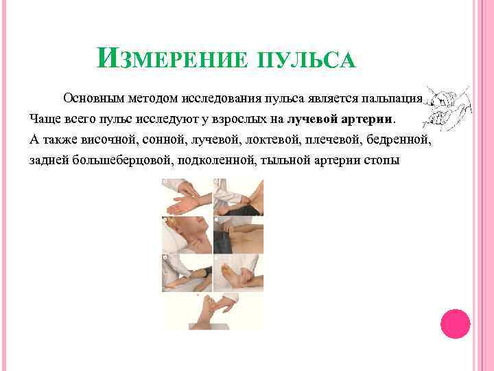 ИЗМЕРЕНИЕ ПУЛЬСА Основным методом исследования пульса является пальпация. Чаще всего пульс исследуют у взрослых