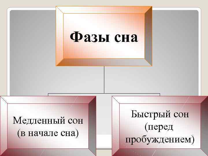 Фазы сна Медленный сон (в начале сна) Быстрый сон (перед пробуждением) 