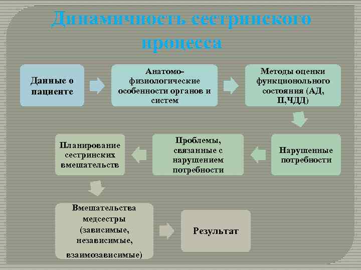 Динамичность сестринского процесса Данные о пациенте Анатомофизиологические особенности органов и систем Планирование сестринских вмешательств