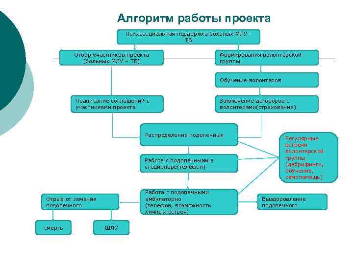 Какие группы волонтеров будут сформированы в рамках проекта тест