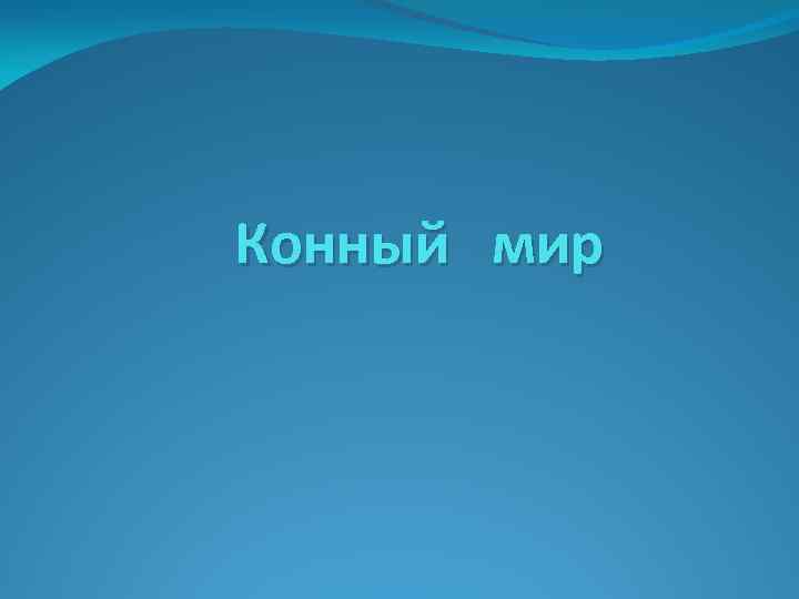 Конный мир 