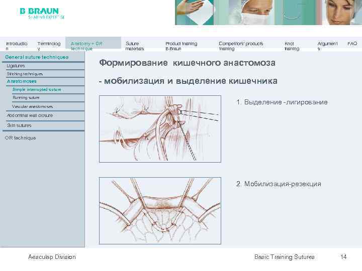 Introductio n Terminolog y Anatomy + OR technique General suture techniques Ligatures Stitching techniques