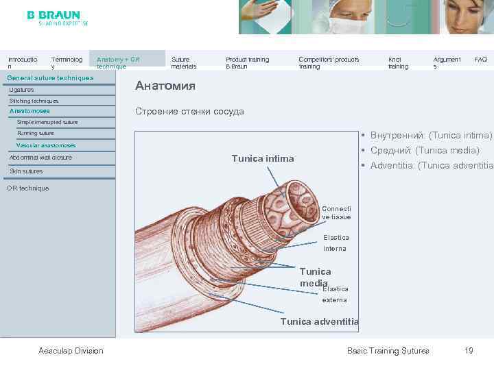 Introductio n Terminolog y Anatomy + OR technique General suture techniques Ligatures Suture materials