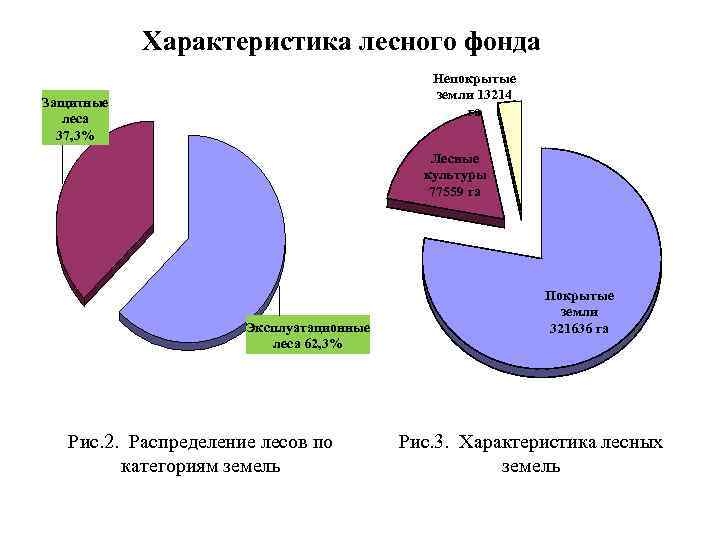 Характеристика лесного фонда Непокрытые земли 13214 га Защитные леса 37, 3% Лесные культуры 77559