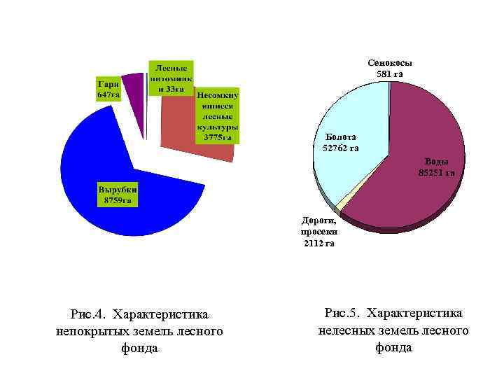 Сенокосы 581 га Болота 52762 га Воды 85251 га Дороги, просеки 2112 га Рис.