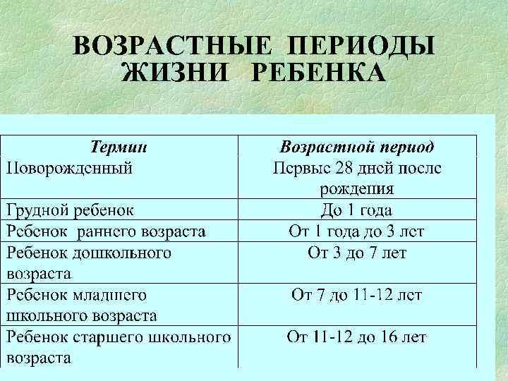 ВОЗРАСТНЫЕ ПЕРИОДЫ ЖИЗНИ РЕБЕНКА 