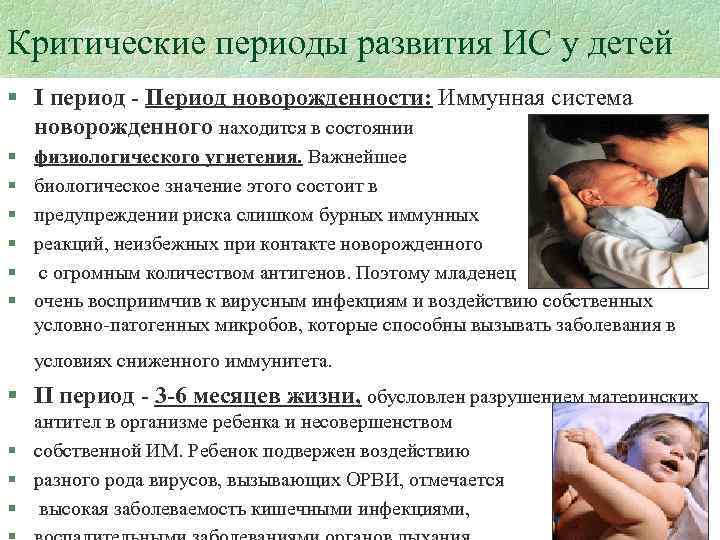 Критические периоды развития ИС у детей § I период - Период новорожденности: Иммунная система