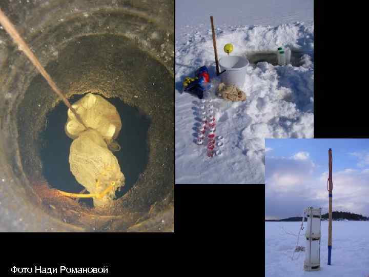 Фото Нади Романовой 