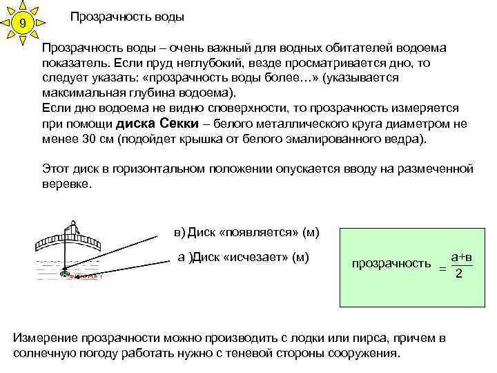 9 Прозрачность воды – очень важный для водных обитателей водоема показатель. Если пруд неглубокий,