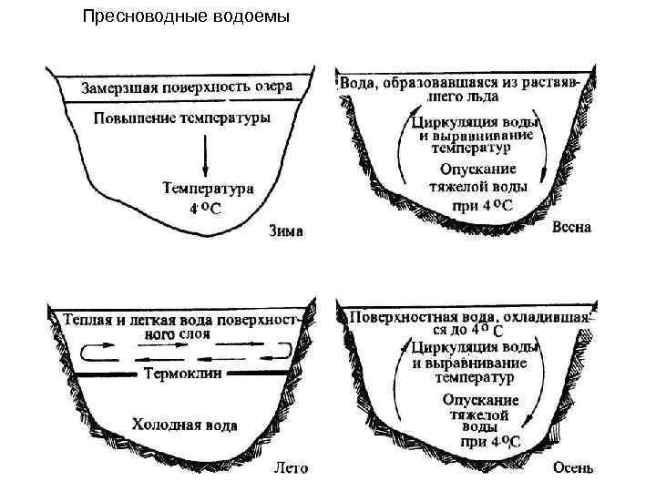 Пресноводные водоемы 
