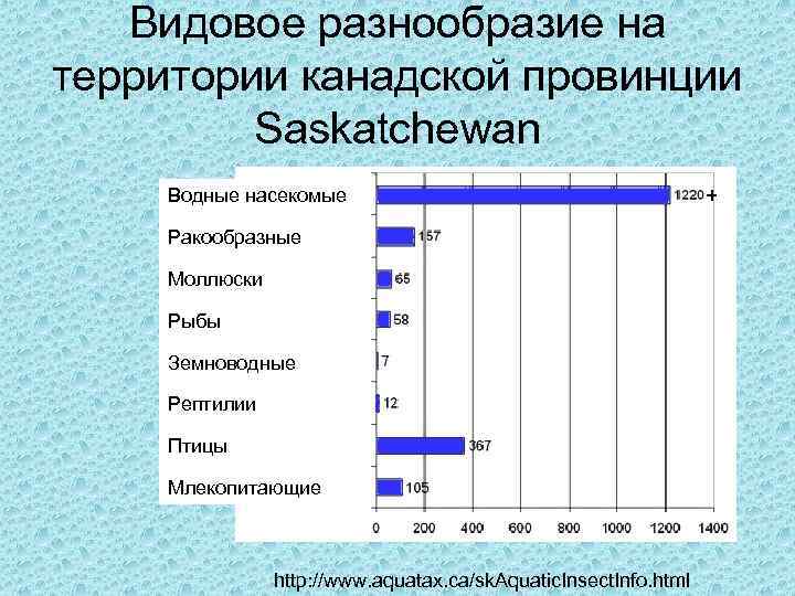 Видовое разнообразие на территории канадской провинции Saskatchewan Водные насекомые Ракообразные Моллюски Рыбы Земноводные Рептилии