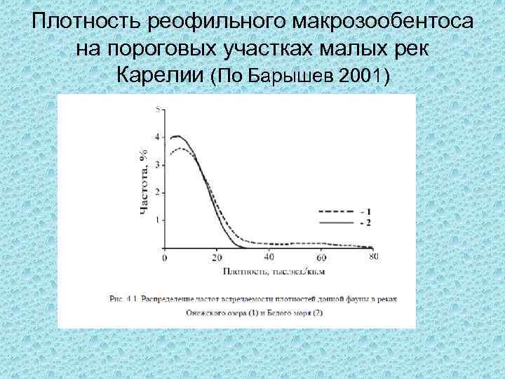 Плотность реофильного макрозообентоса на пороговых участках малых рек Карелии (По Барышев 2001) 