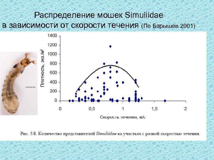 Распределение мошек Simuliidae в зависимости от скорости течения (По Барышев 2001) 