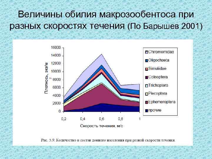Величины обилия макрозообентоса при разных скоростях течения (По Барышев 2001) 