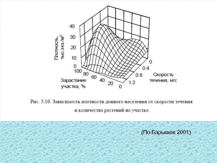(По Барышев 2001) 