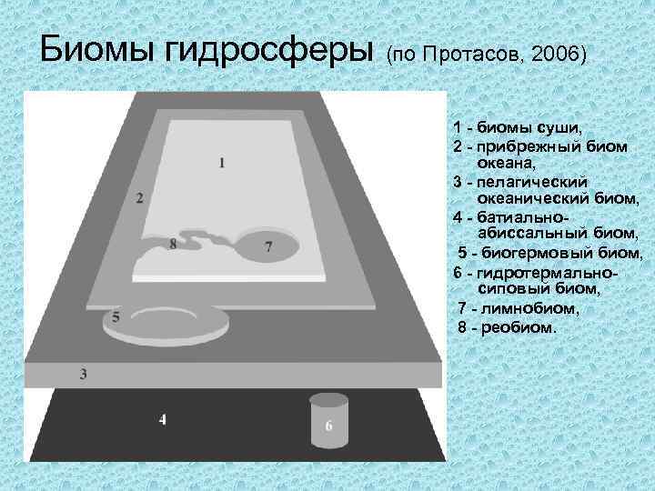 Биомы гидросферы (по Протасов, 2006) 1 - биомы суши, 2 - прибрежный биом океана,