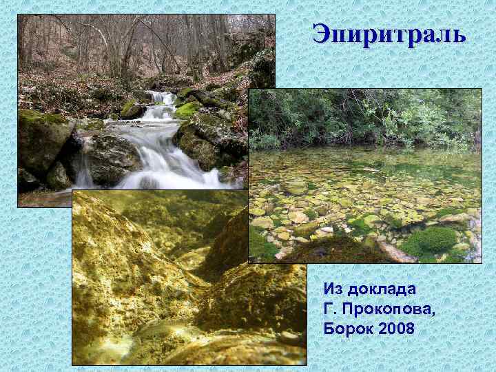 Эпиритраль Из доклада Г. Прокопова, Борок 2008 