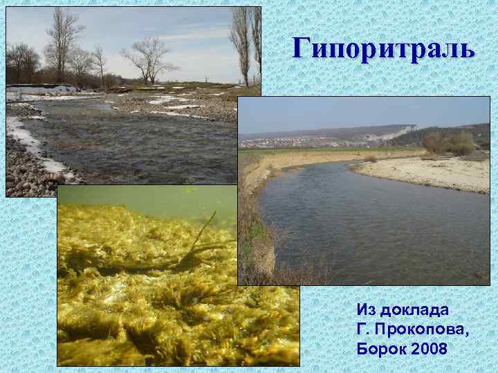 Гипоритраль Из доклада Г. Прокопова, Борок 2008 