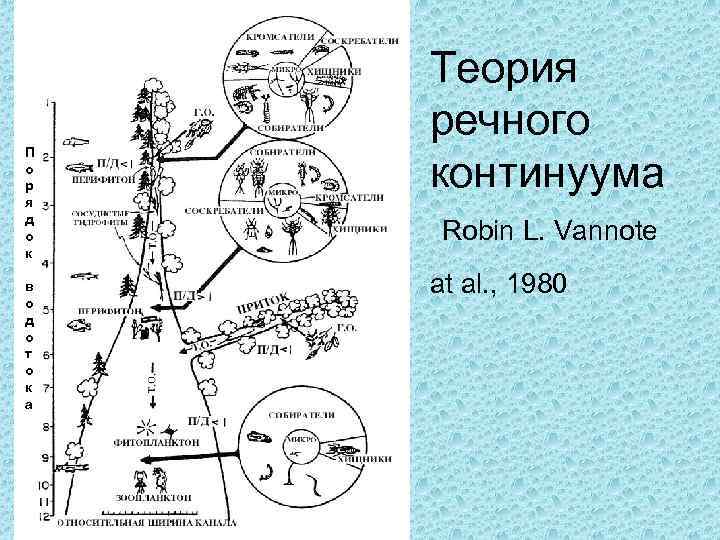 П о р я д о к в о д о т о к
