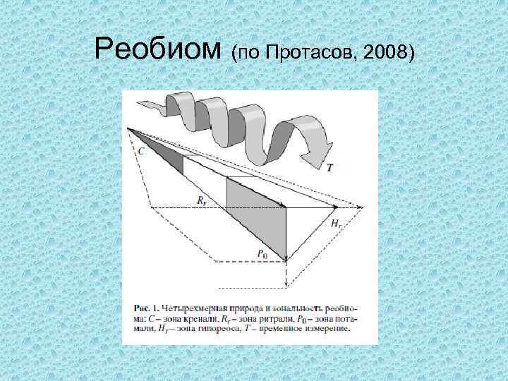 Реобиом (по Протасов, 2008) 