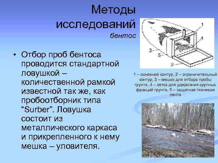 Методы исследований бентос • Отбор проб бентоса проводится стандартной ловушкой – количественной рамкой известной