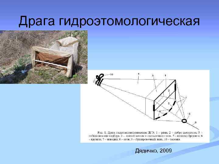 Драга гидроэтомологическая Дядичко, 2009 