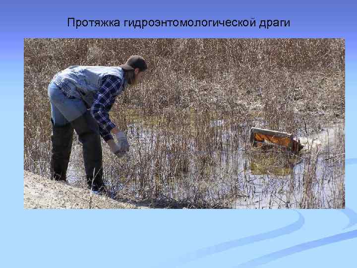 Протяжка гидроэнтомологической драги 